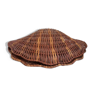 Rattan shell box