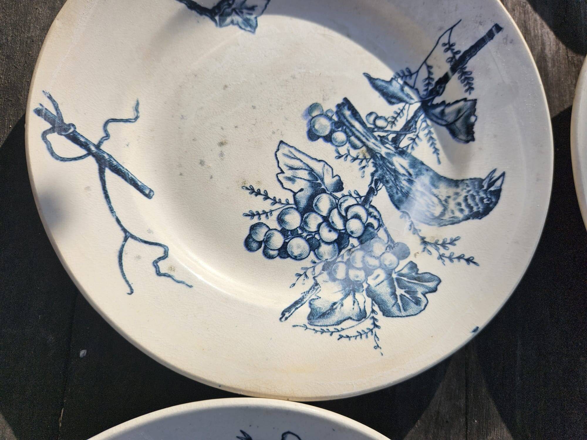 Antique 19th century plate, Terre de Fuego, blue with bird motif