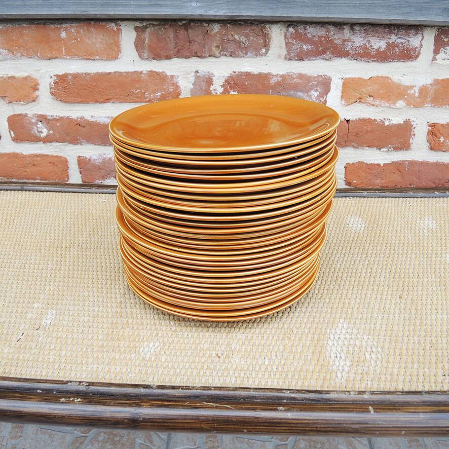 Antique earthenware dinner service from Salins (36 pcs)