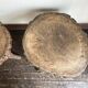 Pair of mountain coffee tables made of wooden logs from the 1970s.