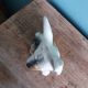 Dog signed Desvres Gabriel Fourmaintraux early 20th century