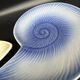 shell plates