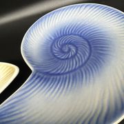 shell plates