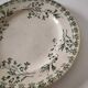 Antique ironstone plate with green floral decoration, circa 1900