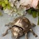 Bronze ladybug ashtray, 1960s
