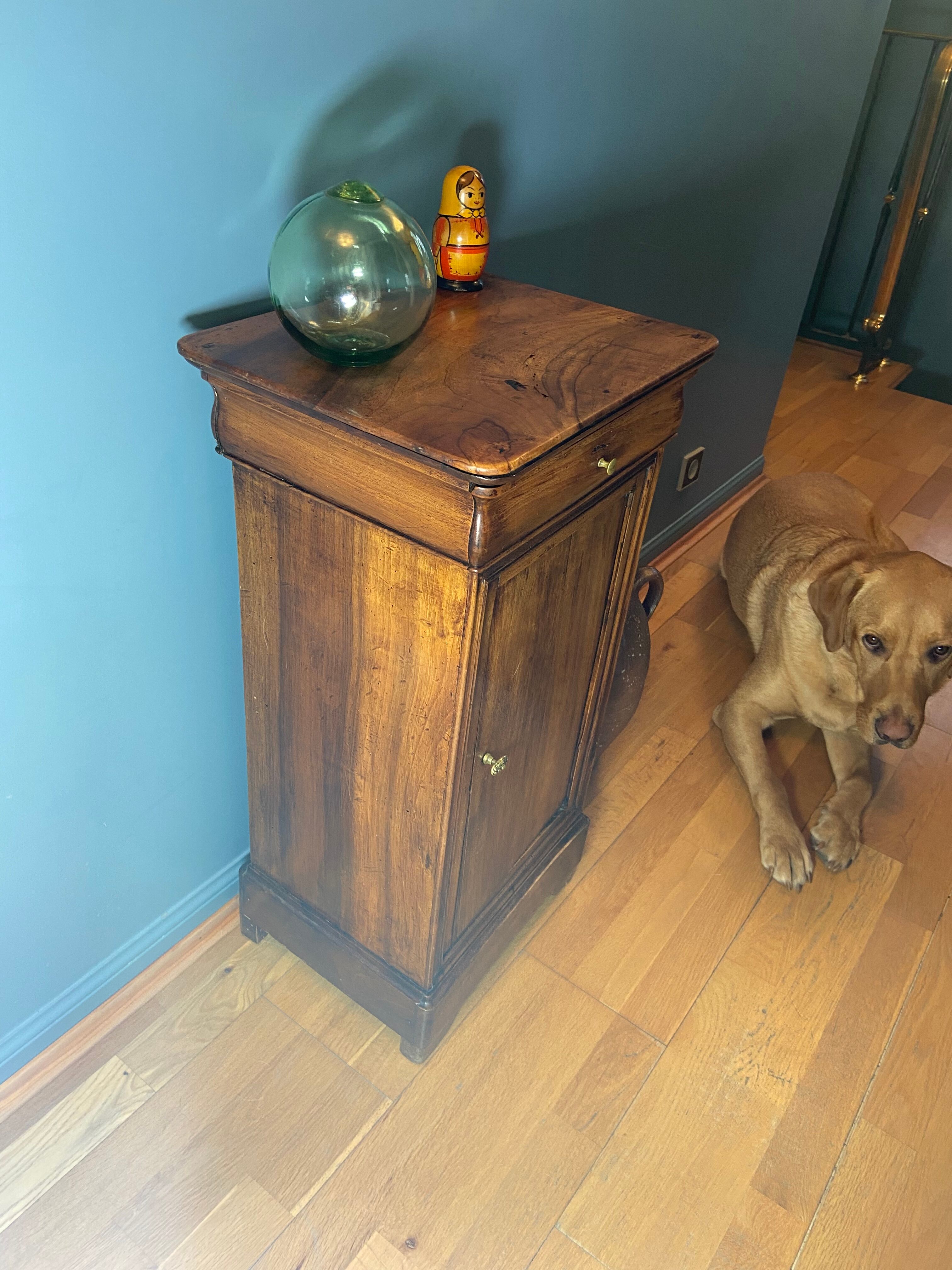 Bedside night table Louis Philippe XIXth