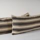 Cushion