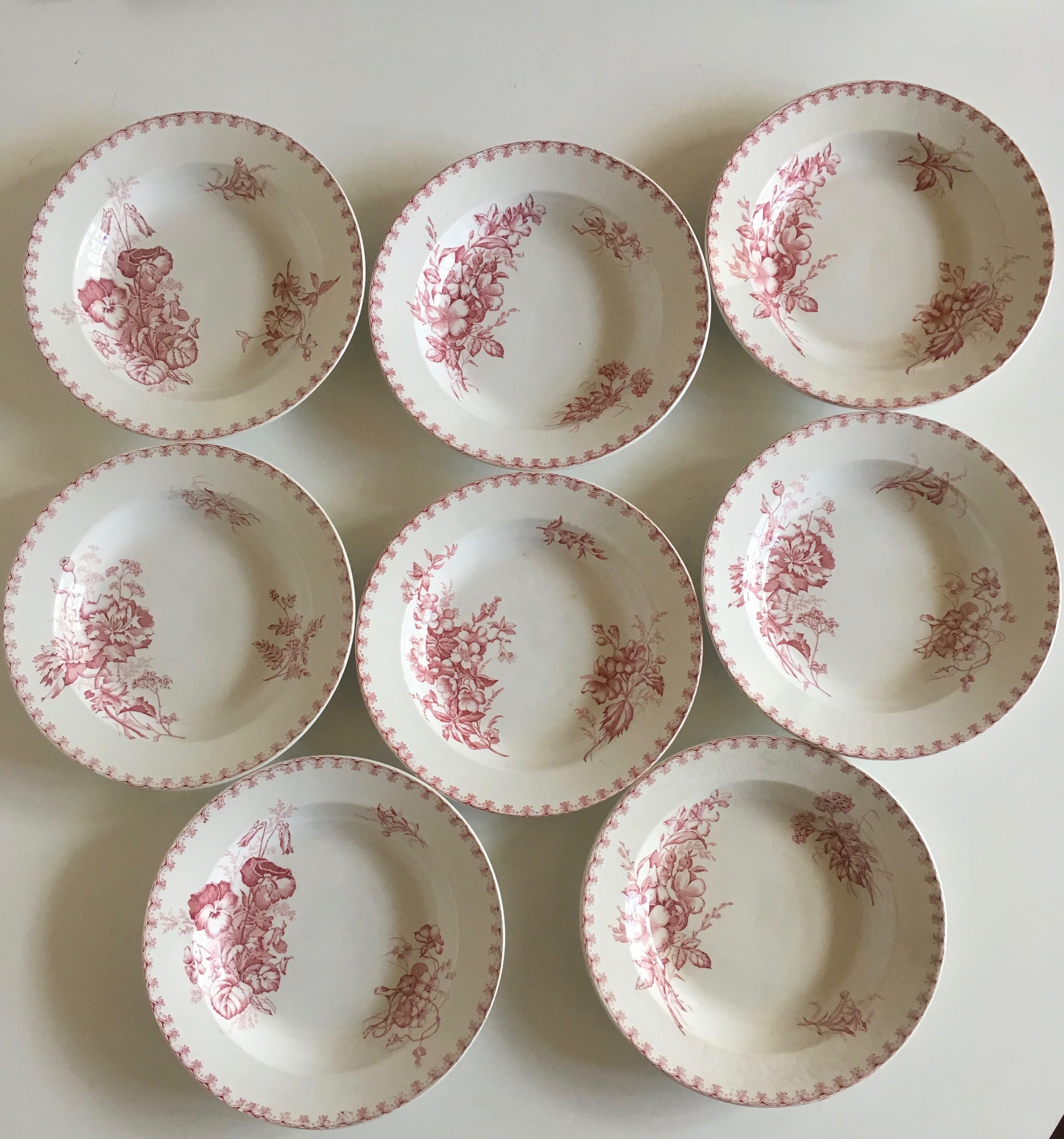 Soup plates of Sarreguemines, land of iron décor Vega, early 20th