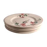 6 artisan dessert plates