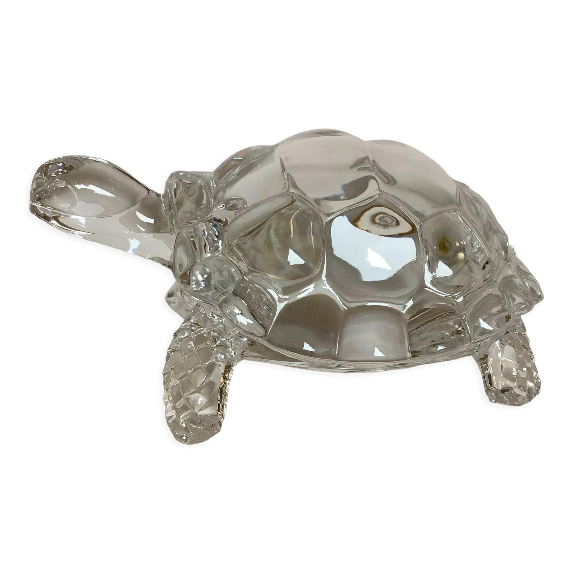 Arques crystal turtle
