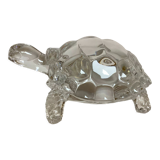 Arques crystal turtle