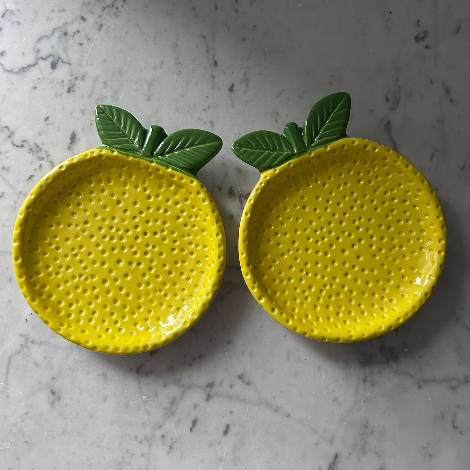 Paire de plats citrons en barbotine