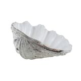 Decorative Tridacna seashell, boho style, 1980s