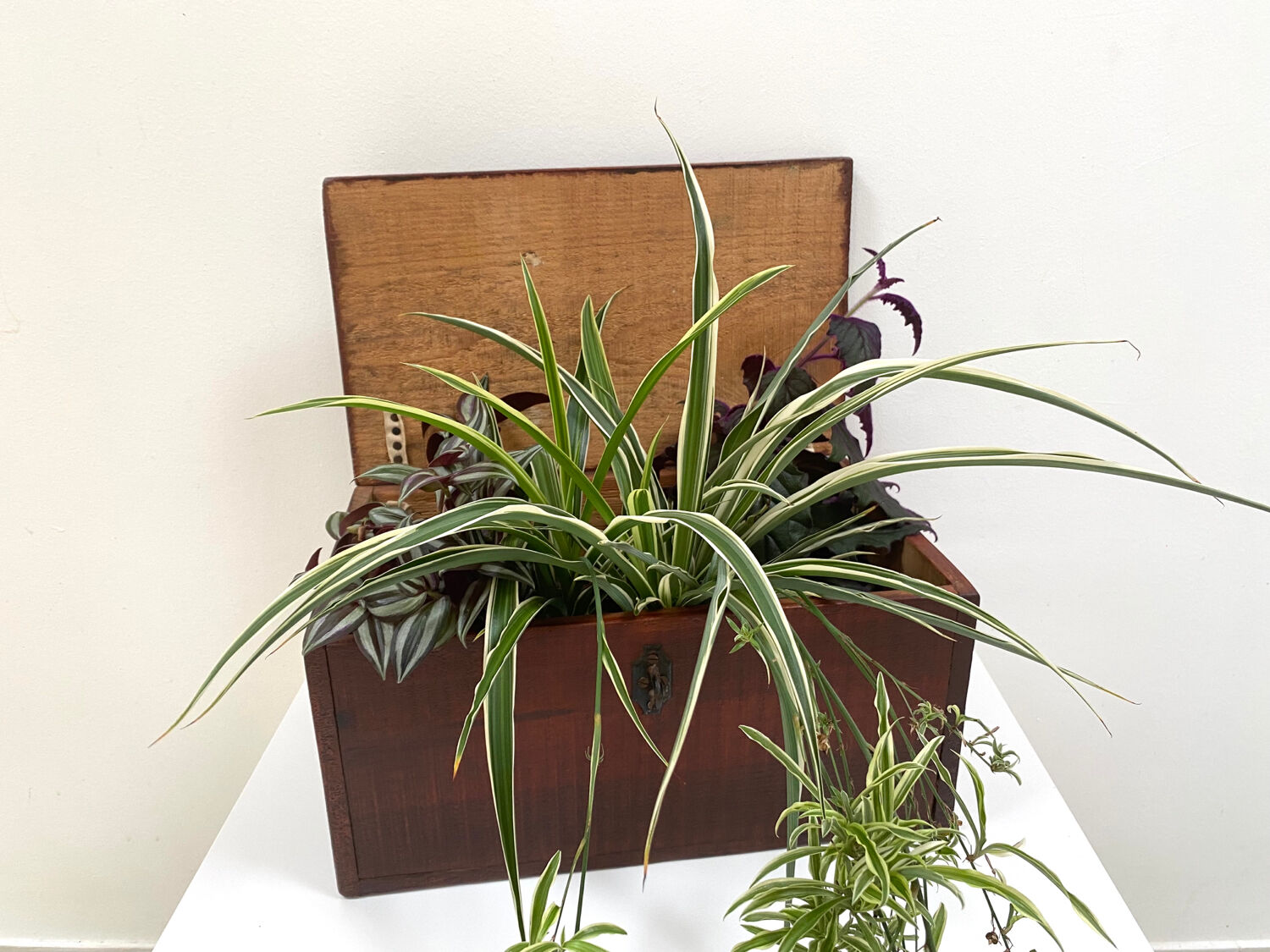 Large wooden box / crate from the 50s