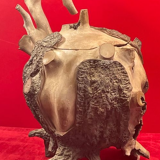 Mid century teapot from China