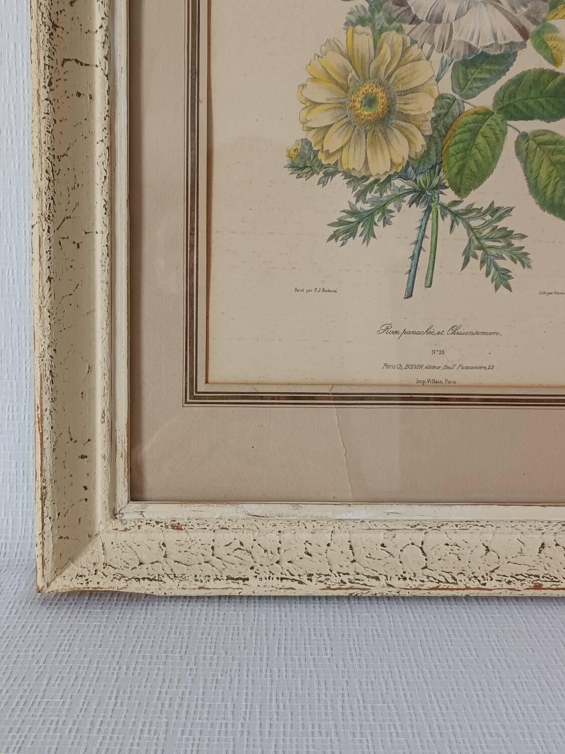 Vintage Redouté Botanical Lithograph