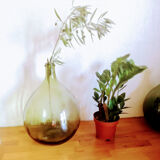 Demijohn green 8 liters