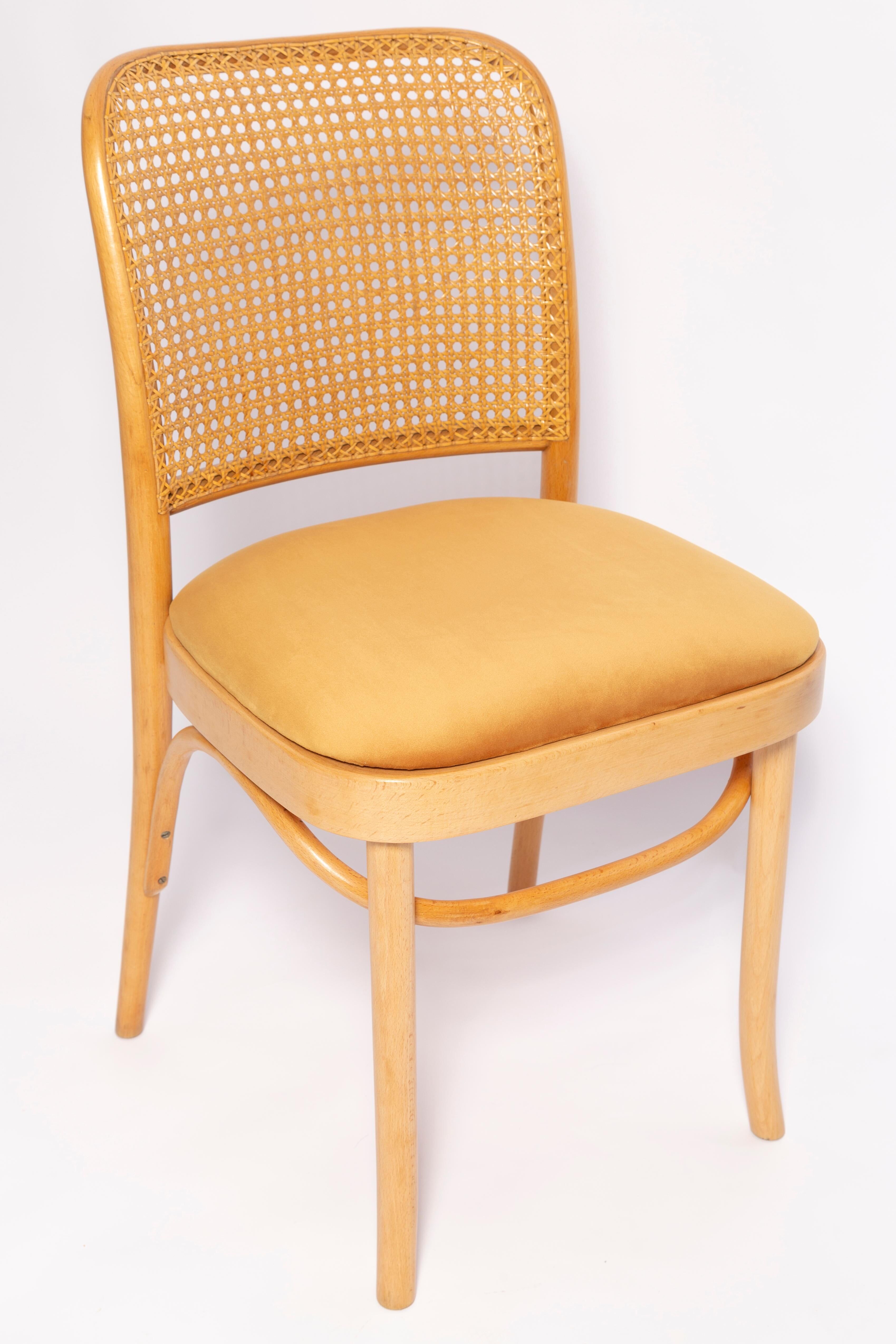 Thonet chair in rattan and yellow velvet wood from the mid-century, Europe, 1960s.