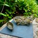 Brass planter Art Nouveau Jugendstil