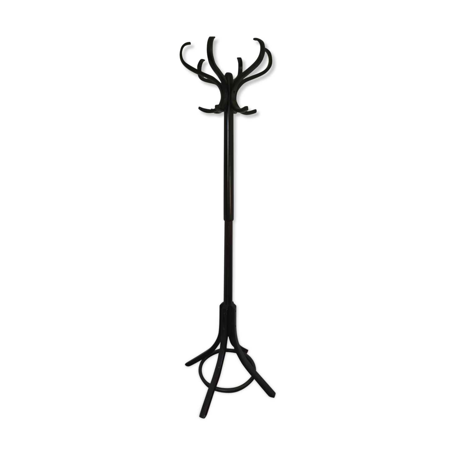 Baumann parrot coat holder