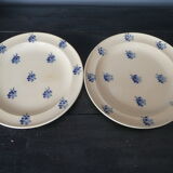 Suite of 6 flat plates
