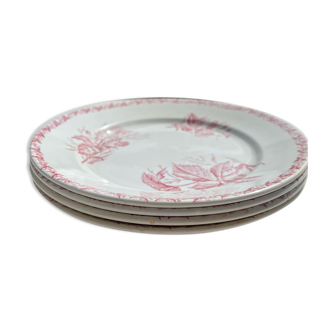 Badonwiller plates