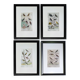 Set of 4 Ornithological plates Buffon 1838 "Lark, Quail, Tit, Troupial"