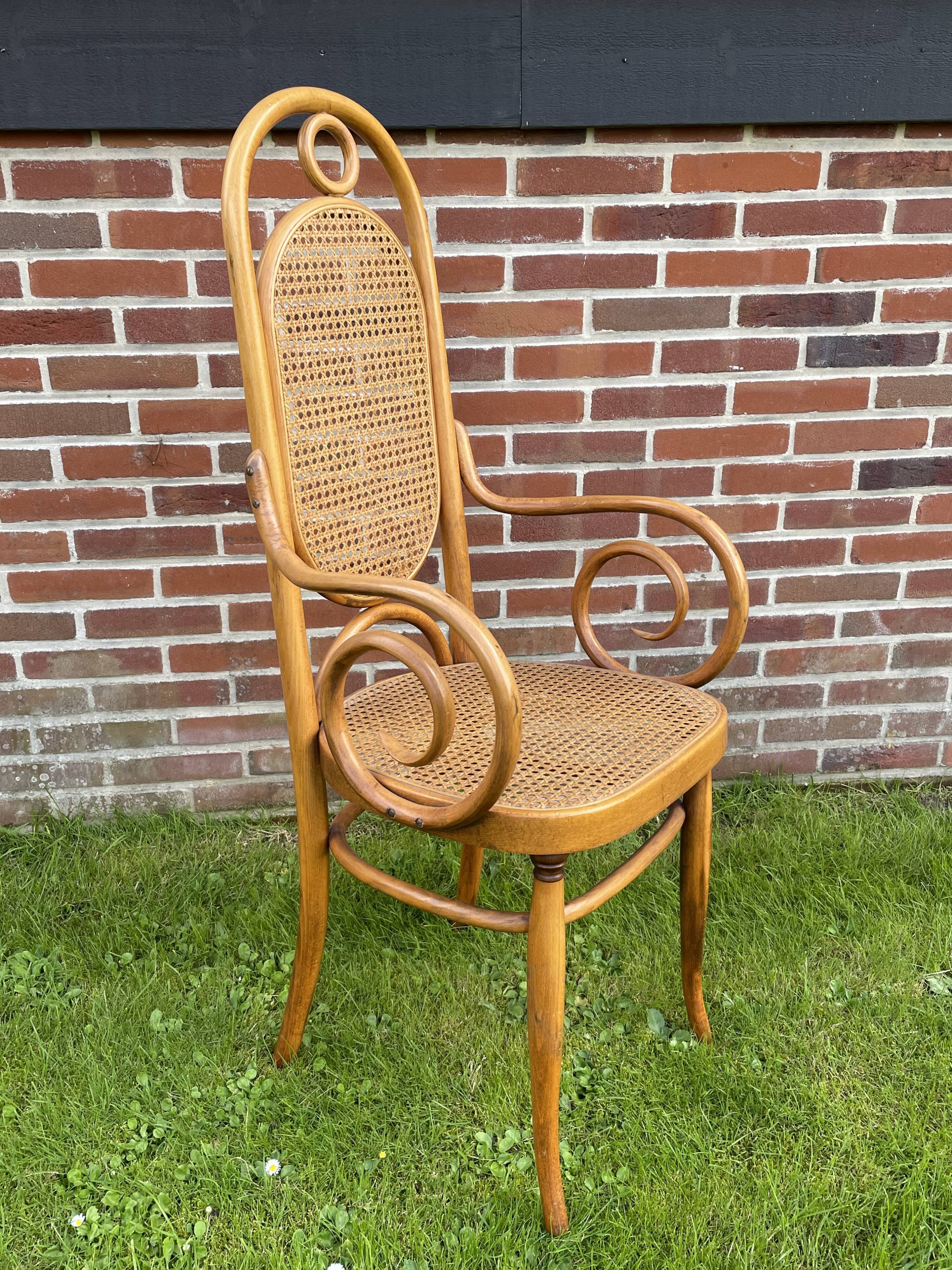 Sculptural bendwood side chair model