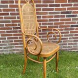 Sculptural bendwood side chair model