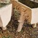 Pair of cement planters in faux wood finish