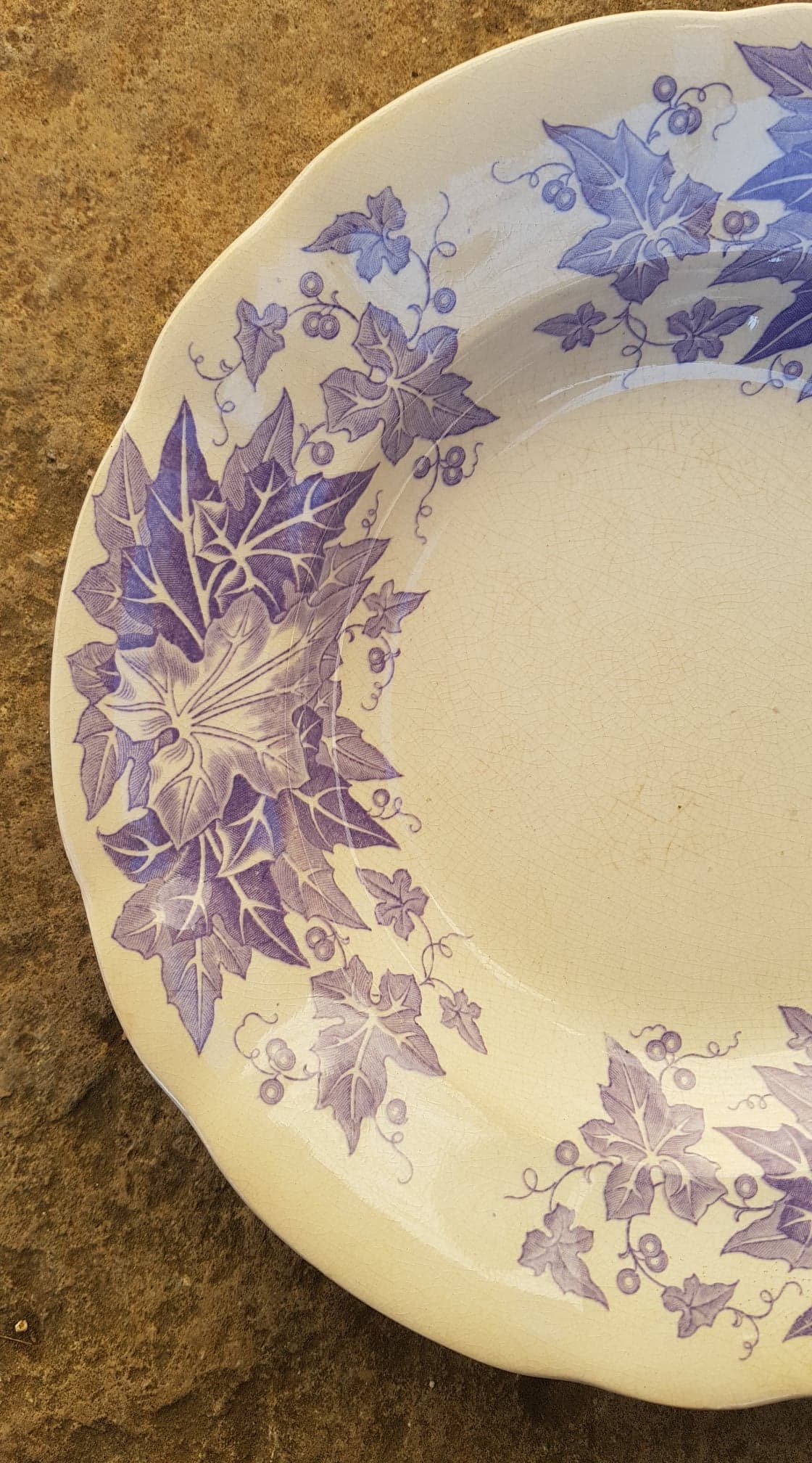 Set of 6 plates Sarreguemines model Bryonia