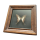 Naturalized butterfly