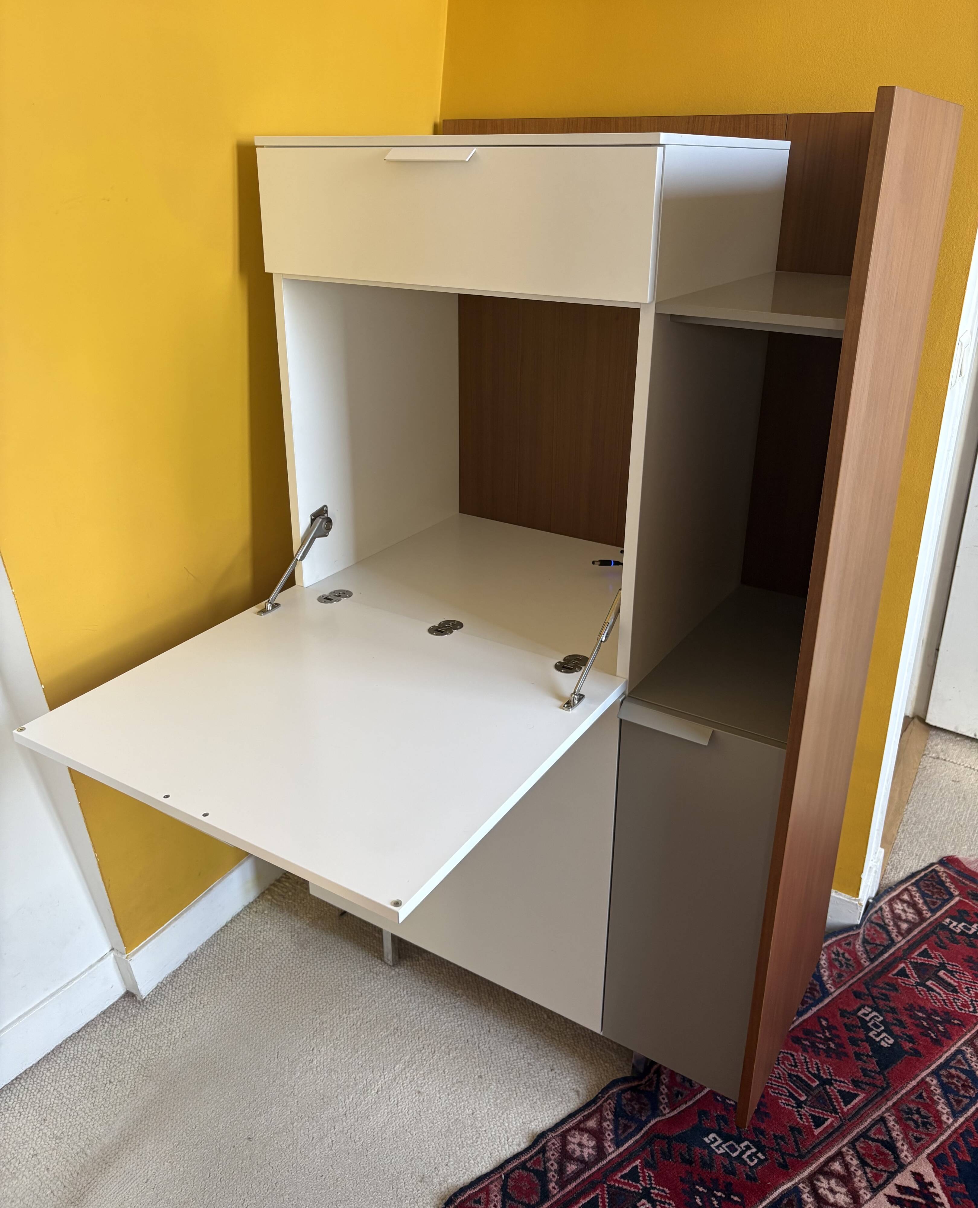 Secretary dino - cinna