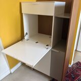 Secretary dino - cinna