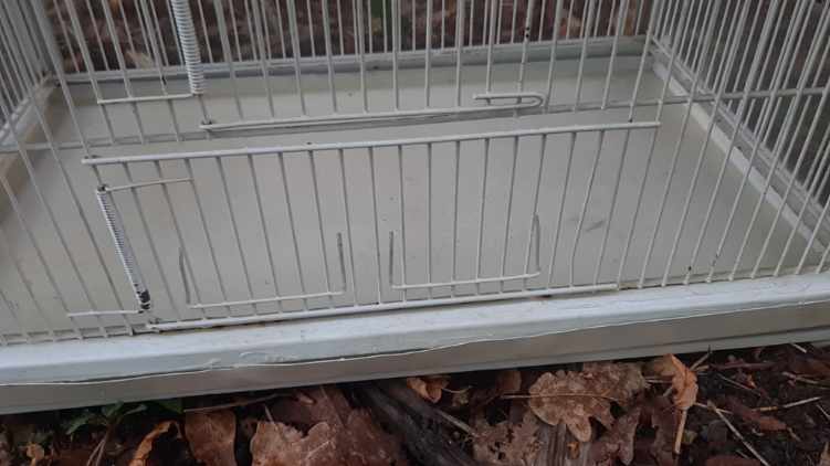 Iron and wicker bird cage