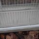 Cage à oiseau en fer et osier