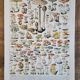 Ancienne planche botanique champignons, 1930
