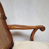 Chippendale Bergere Armchair, Carved Mahogany with Cane and Lion Claw Ball