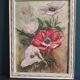 French watercolour of flowers, poppies, signed DR