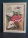French watercolour of flowers, poppies, signed DR