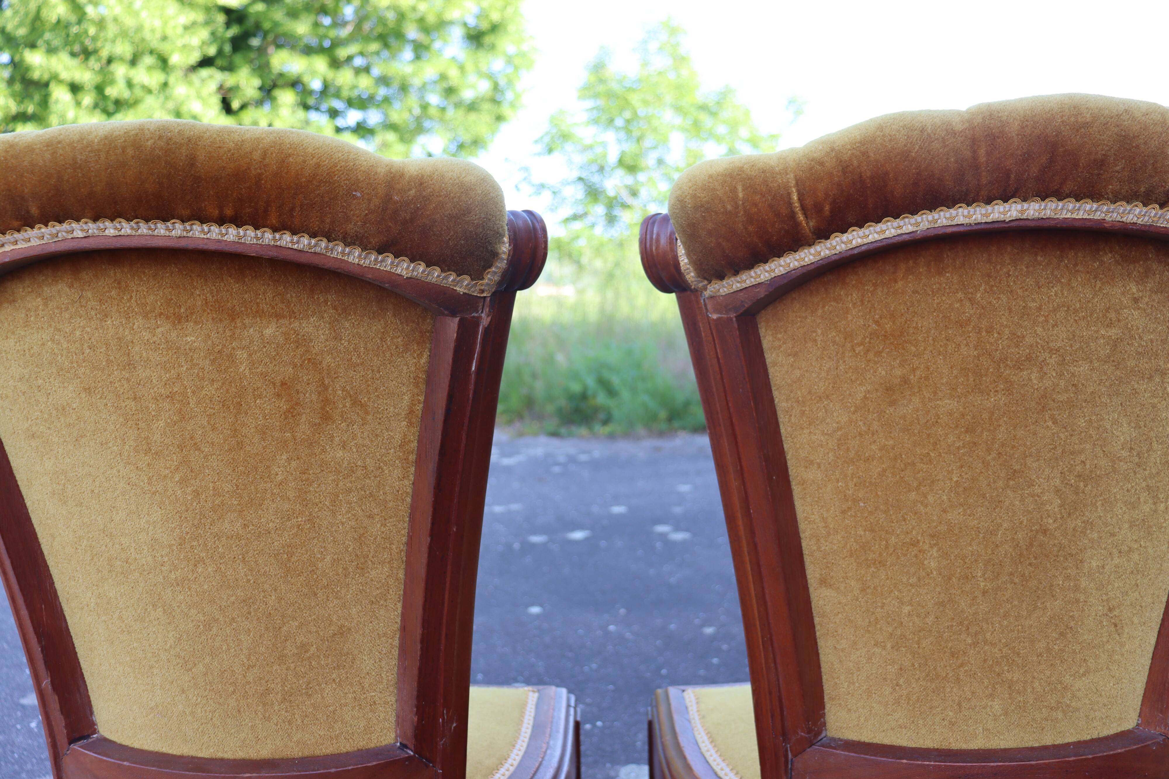 Pair of Art Deco chairs in velvet and solid wood