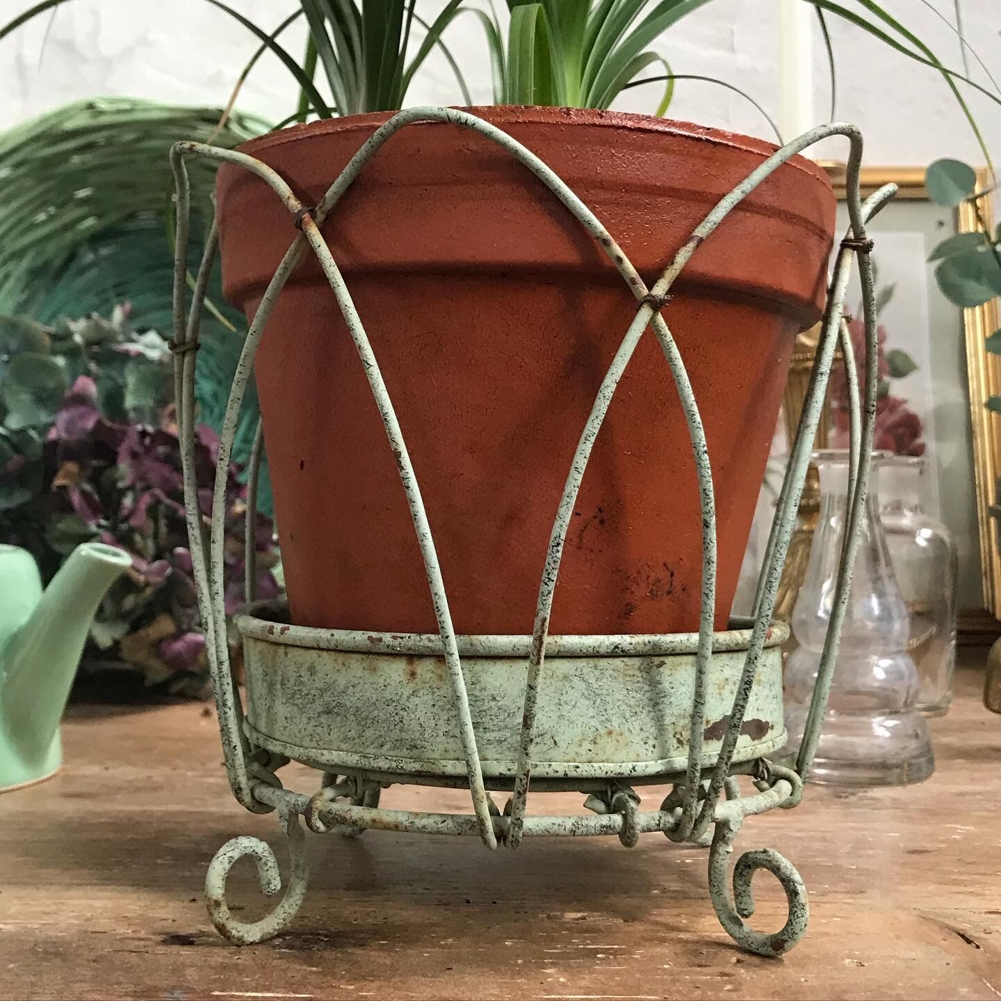 Green metal plant door