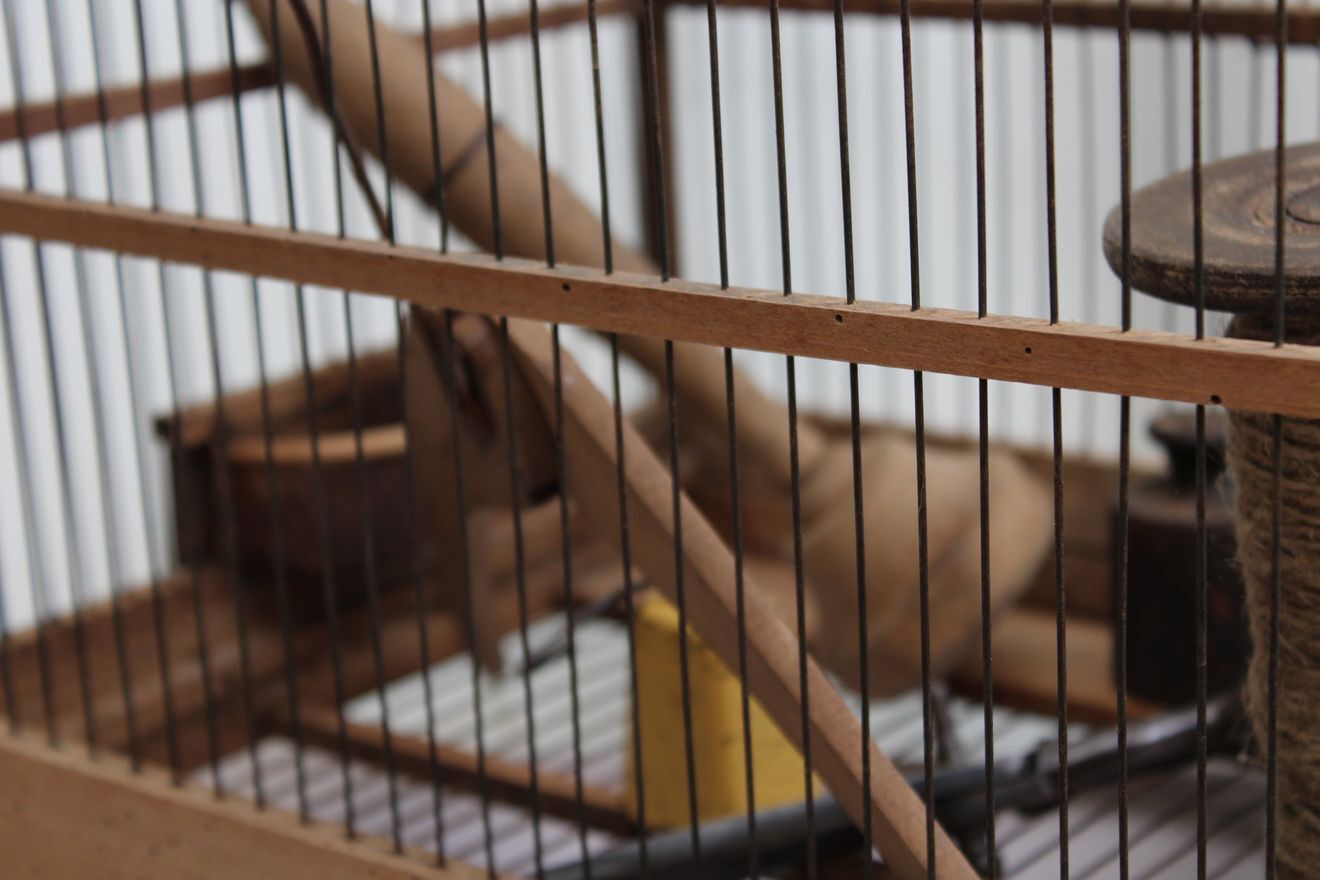 Old wooden bird cage