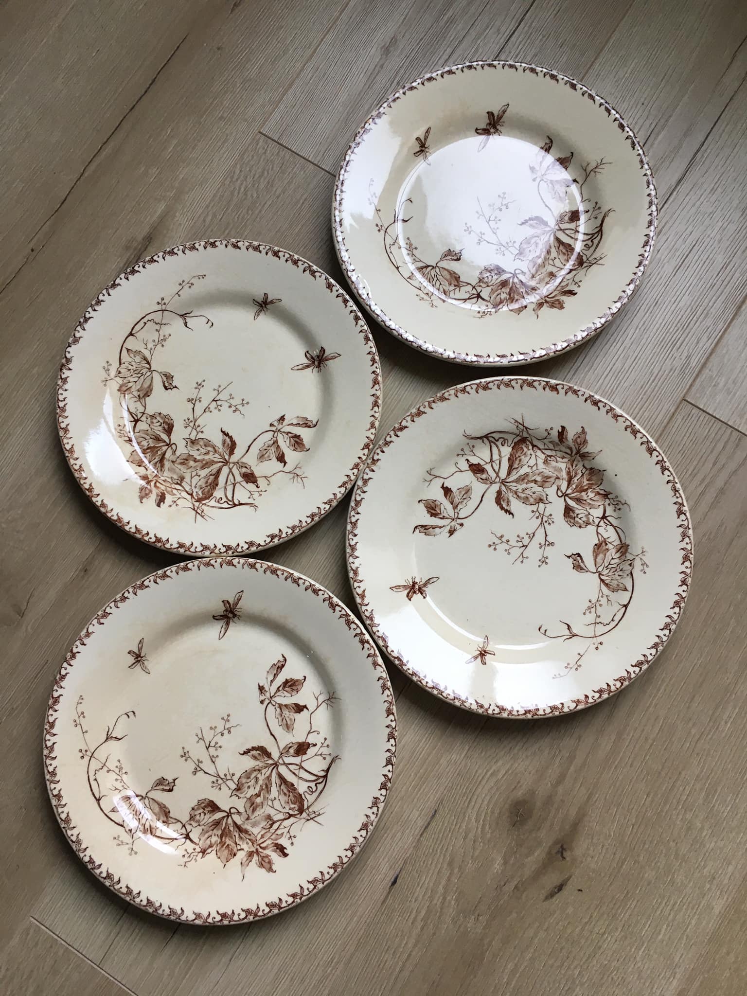 4 Flat plates in opaque porcelain from Gien "Virgin vine"