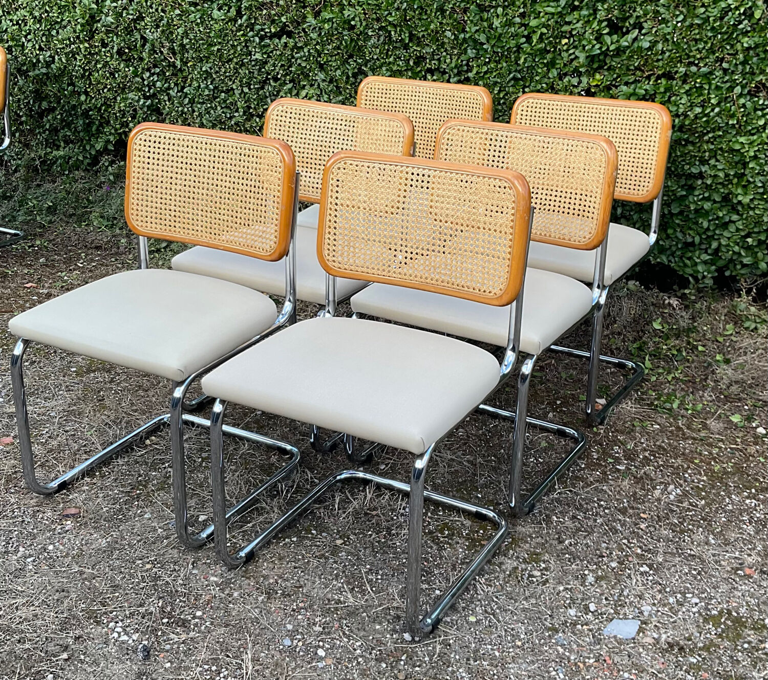 Series of 6 chairs Marcel Breuer Cesca B32