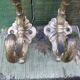 Pair of 1900 wall-mounted coat racks in gilded steel