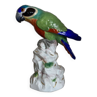 19th century Saxony porcelain parrot signed