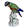 19th century Saxony porcelain parrot signed