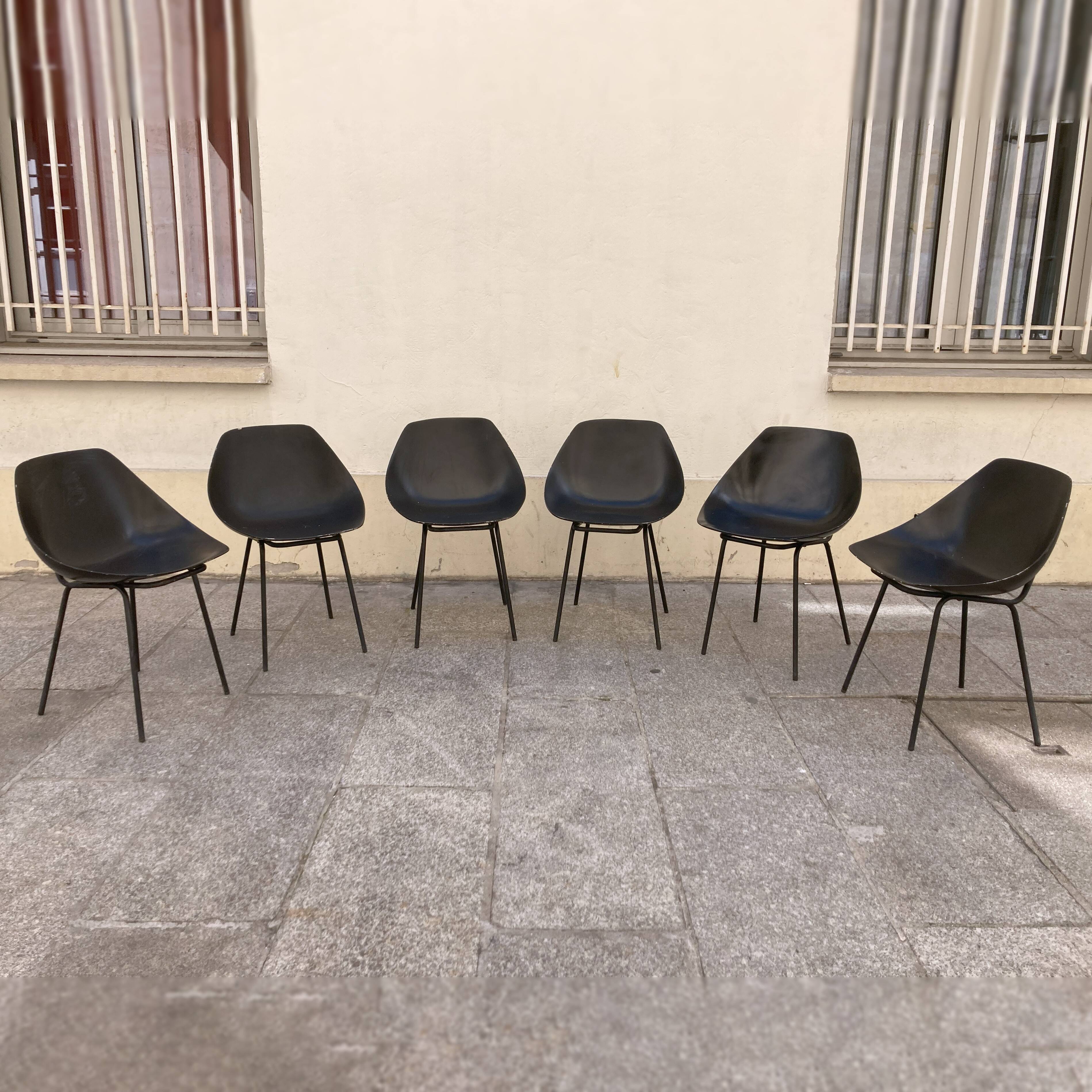 Shell chairs, Pierre Guariche 2000s edition