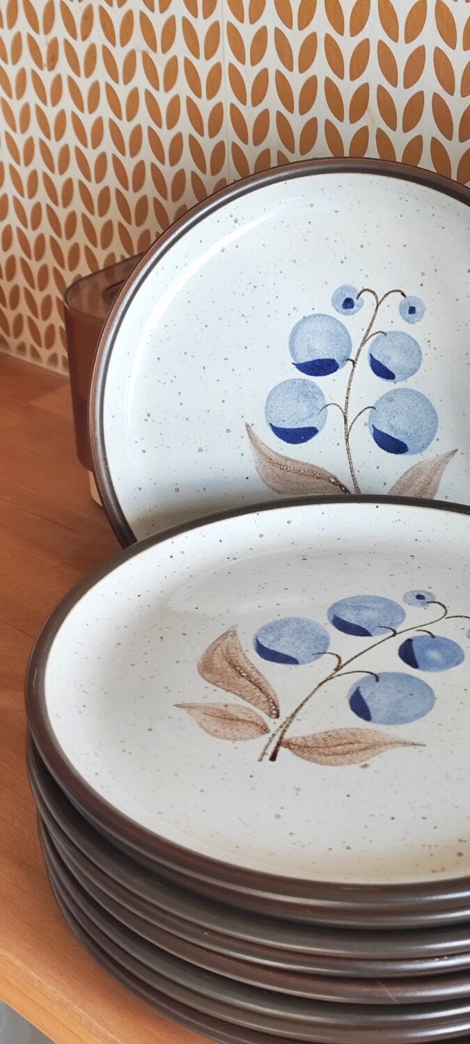 Vintage stoneware plates illustration of currants hand-painted